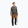 Мъжки обувки за трекинг Jack Wolfskin Apex Hike Texapore Low black 7