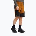 Мъжки обувки за трекинг Jack Wolfskin Apex Hike Texapore Low black 8