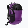 Раница Jack Wolfskin Velocity 20 l freesia 9