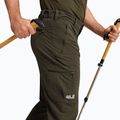 Мъжки панталони за трекинг Jack Wolfskin Activate Flex obsidian moss 4