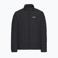 Мъжко ватирано яке Jack Wolfskin Flextrek Ins black 7