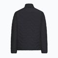 Мъжко ватирано яке Jack Wolfskin Flextrek Ins black 8