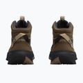 Дамски туристически обувки Jack Wolfskin Wild Hike Texapore Mid fawn 3