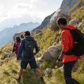 Мъжки софтшел панталони Jack Wolfskin Peak black 1507491_6000 11