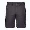 Мъжки къси панталони за трекинг Jack Wolfskin Canyon Cargo grey 1504201_6168 5