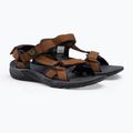 Мъжки сандали за трекинг Jack Wolfskin Lakewood Ride brown 4019021_5311 4
