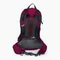 Jack Wolfskin Crosstrail ST 22 л туристическа раница бордо 2009562_2222 3