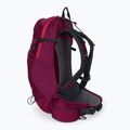 Jack Wolfskin Crosstrail ST 22 л туристическа раница бордо 2009562_2222 4