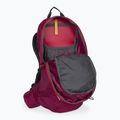 Jack Wolfskin Crosstrail ST 22 л туристическа раница бордо 2009562_2222 5