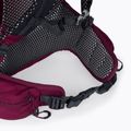 Jack Wolfskin Crosstrail ST 22 л туристическа раница бордо 2009562_2222 6