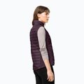 Jack Wolfskin Routeburn Pro Ins дамски туристически без ръкави лилав 1207201_2042_005 2