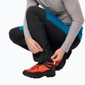Мъжки ски панталони Alpspitze синьо-черни Jack Wolfskin 1507511 3