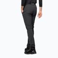 Мъжки панталони за трекинг на Jack Wolfskin Holdsteig black 1507571 2