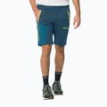Мъжки софтшел панталониJack Wolfskin Glastal Zip Away navy blue 1508301 3