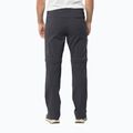 Мъжки софтшел панталони Jack Wolfskin Glastal Zip Away сив 1508301 2
