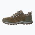 Мъжки обувки за трекинг Jack Wolfskin Refugio Texapore Low cold coffee 10