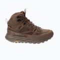 Мъжки обувки за трекинг Jack Wolfskin Terraquest Texapore Mid bear 10