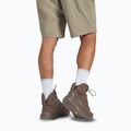 Мъжки обувки за трекинг Jack Wolfskin Terraquest Texapore Mid bear 16