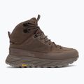 Мъжки обувки за трекинг Jack Wolfskin Terraquest Texapore Mid bear 2