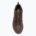 Мъжки обувки за трекинг Jack Wolfskin Terraquest Texapore Low gecko bear 5