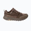 Мъжки туристически обувки Jack Wolfskin Terraquest Texapore Low gecko bear 3