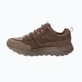 Мъжки туристически обувки Jack Wolfskin Terraquest Texapore Low gecko bear 4