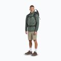 Мъжки туристически обувки Jack Wolfskin Terraquest Texapore Low gecko bear 8