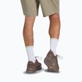 Мъжки туристически обувки Jack Wolfskin Terraquest Texapore Low gecko bear 9