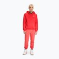 Мъжки суитшърт FILA Bengel Regular Hoody cayenne 2