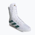 боксови обувки adidas Box Hog 4 cloud white/collegiate green/core black