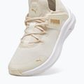 Дамски обувки PUMA Softride One4All Femme alpine snow/puma white/gold 12