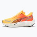 Дамски обувки за бягане PUMA Velocity Nitro 3 Fade sun stream/sunset glow/white 10