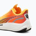 Дамски обувки за бягане PUMA Velocity Nitro 3 Fade sun stream/sunset glow/white 12