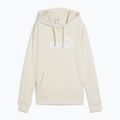 Дамски суитшърт PUMA ESS No. 1 Logo Hoodie TR alpine snow