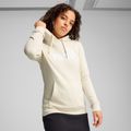 Дамски суитшърт PUMA ESS No. 1 Logo Hoodie TR alpine snow 3