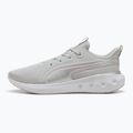 Обувки за бягане PUMA Softride Carson cool light gray/rose mauve/puma silver