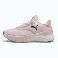 Дамски обувки за бягане PUMA Softride Mayve rose mauve/puma black/sun struck