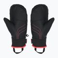 Детски скиорски ръкавици ZIENER Luron Aquashield PR Mitten multicolor 2