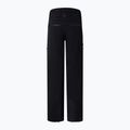Мъжки скиорски панталони BOGNER FIRE+ICE Nic-T black 2