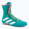 Боксьорски обувки adidas Box Hog 4 turquoise