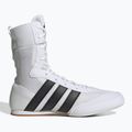 Боксьорски обувки adidas Box Hog Classic white 2