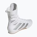 Боксьорски обувки adidas Box Hog 4 white/silver 2