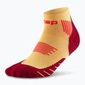 CEP Мъжки чорапи за компресия Run Low Cut 5.0 marigold/burgundy 2