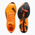 Мъжки обувки за бягане PUMA Fast-R Nitro Elite 3 heat fire / sun stream 6