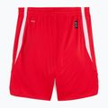 Мъжки баскетболни шорти PUMA teamJAWS Starter for all time red 2