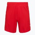 Мъжки баскетболни шорти PUMA teamJAWS Starter for all time red