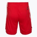 Мъжки баскетболни шорти PUMA teamJAWS Starter for all time red 2