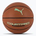 PUMA teamJAWS Court Pro Баскетболна кожа кафява/тъмна сянка размер 7