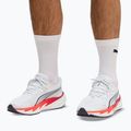 Мъжки обувки за бягане  Puma Velocity Nitro 5 puma white/ultra red 7