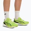 Мъжки обувки за бягане  PUMA Deviate Nitro 4 sunny lime/puma black 6